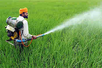 预计印度农业化学市场预计未来5年将增长14.5％：肯研究